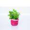 house design OEM plant wall hanging planter grow bag