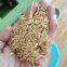 Combined Rice Mill 200kg Per Hour Small Rice Mill Machine