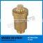 Automatic Air Vent Valve Price