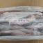 FROZEN PANGASIUS GGS FROM VIETNAM