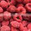 Sinocharm New Crop Bulk IQF Black Raspberries Whole Freeze Red Raspberry Frozen Raspberry Price