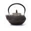 Tibetan Buddhist Turkish Rabbit New Two Handles Portable Logo Kettle Person Cast Iron Teapot