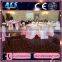 Shenzhen ACS 2015 New Design Professional Dancing Floor Wedding Party Led Dance Floor 10
