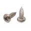 Pan Head Self Tapping Screw