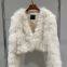 Winter new fox fur striped fur coat for women, thick and dense fur coat, short style, small and young
