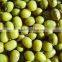 New Crop Peeled Green Mung Beans