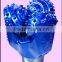 Steel Tricone Drill Bit