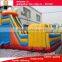 Brighted-color customized cartoon theme outdoor inflatable slide water slide