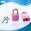 AJF Fashion Metal Mini Lock With Electrophoresis Pink Color Nice for Music Box