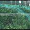 Inexpensive Plastic Bird Netting Trellis Net | Plant Garden Protect