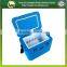 Portable mini vaccine refrigerator with temperature display