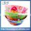 funny cartoon Plastic Melamine dog bowl