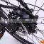 26 Inch Folding Mountain Electric Bicycle (Model SEB600X)