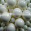 High precision grade ceramic ball