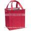 Custom Non Woven Picnic&fitness Cooler Lunch Bag for Frozen Food Quality Choice