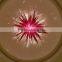 murano hand blown glass ceiling lighting