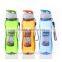 easy carry Sports Water Bottle with Flip Top Lid for for Gym, Cycling, Camping