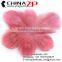 Leading Supplier CHINAZP Wholesale Wonderful Decorative Colored Pink Trimmed Peacock Feathers Eyes for Earrings