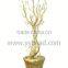 Top Sell 70CM Acrylic Plastic Table Tree Centerpiece