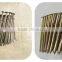 High Quality Free Sample Common Coil Nail