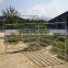 Cheap Horse pasture fence panel and gate