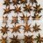 Chinese No sulfur dioxide Star-Anise