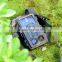 12MP Infrared Deer hunting camera, wildlife animal surveillance