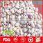 Light coloured speckled kidney beans for sale