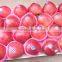 new crop red delicious apple 18kg Ctn