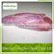 frozen beef silverside