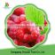 Frozen Raspberries In Bulk Packing With Good Quality And Low Price