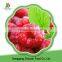 China Frozen fruits IQF raspberry A grade With Extra Quaity