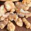 2015 new crop dried light / amber walnut kernels whole sale