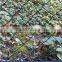 Galvanized Temporary Chain Link Fence Panels Chain Link Fence