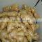Chinese fresh air dried ginger