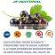 100% Natural Fruit Concentrate Powder Black Currant Powder
