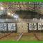 Goldenest poultry farm exhaust fan centrifugal ventilation fan