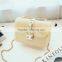 Wholesale 2016 Hot New Jelly PVC Mini Small Chain Bag Handbags (XJBL10)