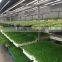 Barley fodder system machine for cattle/hydroponic barley rooms