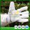 Hot selling Long Sleeves Goatskin Bee Gloves/ventilated beeKeeping gloves