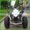 250cc Atv of Three Wheel (YH-01)