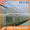 China Direct Plastic Greenhouse/grow Boxes for Agriculture Farming