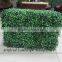 Indoor artificial plastic boxwood hedge for decoration