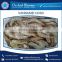 High Grade Hygienically Processed Frozen Vannamei Shrimps Price