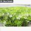 Factory direct sale artificial grass mat for house wedding decoration