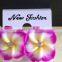 Hot Sell Hawaiian Plumeria Flower Stud Earring Designs for Women