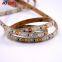 Led ribbon light smd 2835 leds 12v 24v IP65 dual white color changing cct led strip