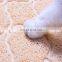 Non-slip claw-shaped washable cat and dog litter pad pet toilet mat