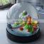 Beautiful Mini Polyresin Snow Globe