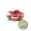HOT SELLING INSTANT LYCHEE JUICE POWDER FROM VIET  NAM